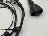 CJS Wiring FUELTECH K-Series (FT450) Engine Harness