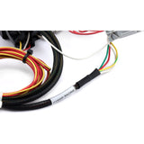 Hybrid Racing K Swap Conversion Wiring Harness for 01-05 Civic