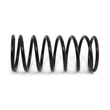 Hybrid Racing Heavy-Duty Gear Selector Springs