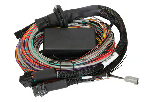 Haltech Elite 2500 & 2500 T Premium Universal Wire-in Harness Length: 2.5m (8')