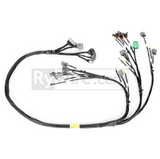 Rywire OBD1 Budget D & B-series Tucked Engine Harness
