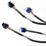 FUELTECH LS550 V8 COMPLETE HARNESS